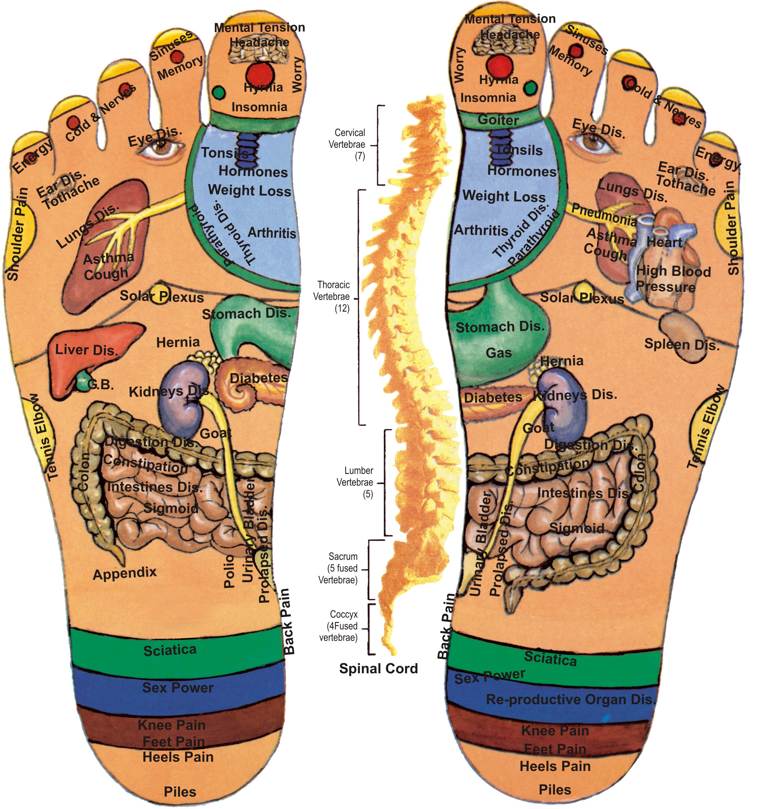 acupressure-points-in-foot-acupressure-points-in-body