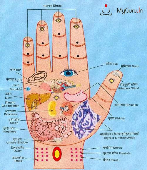 What Is The Chart Of Acupressure Points In Hand Details Charts Of Acupressure Points